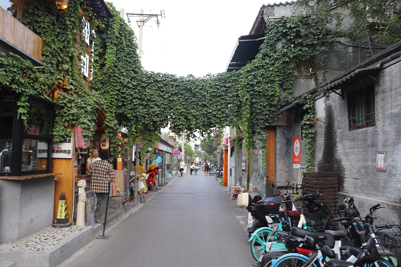 Wudaoying Hutong