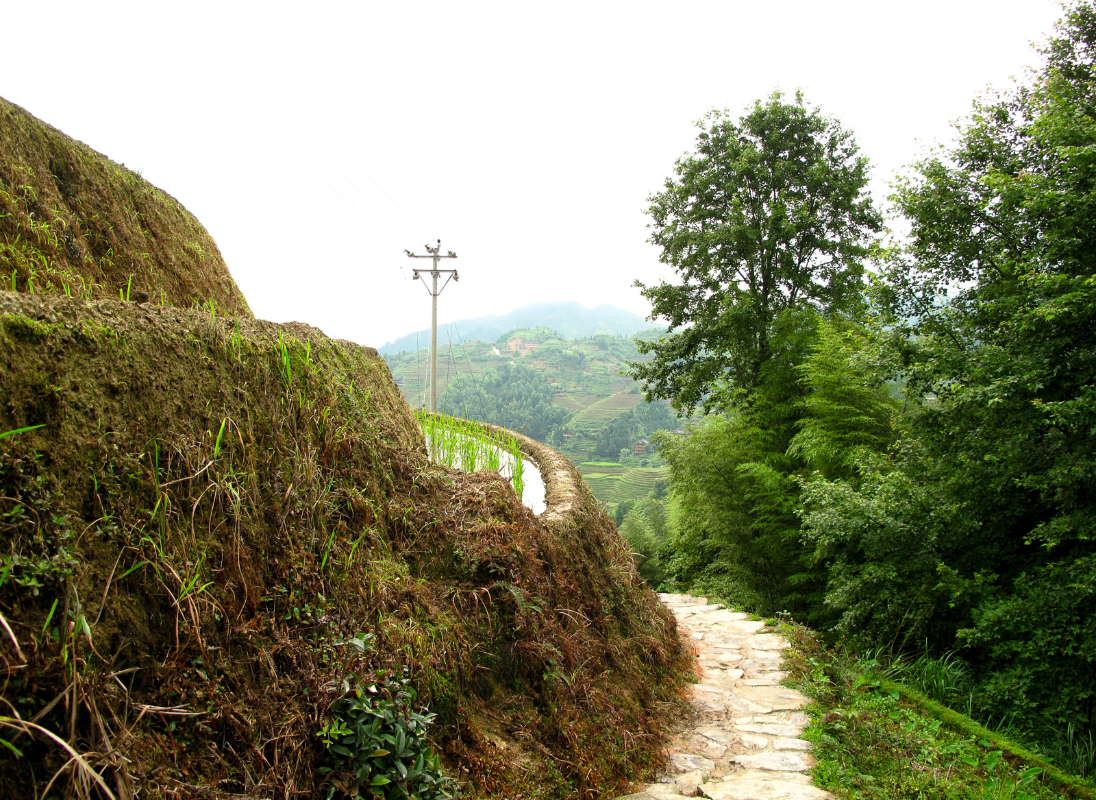 Longji Rice Terraces in Guilin