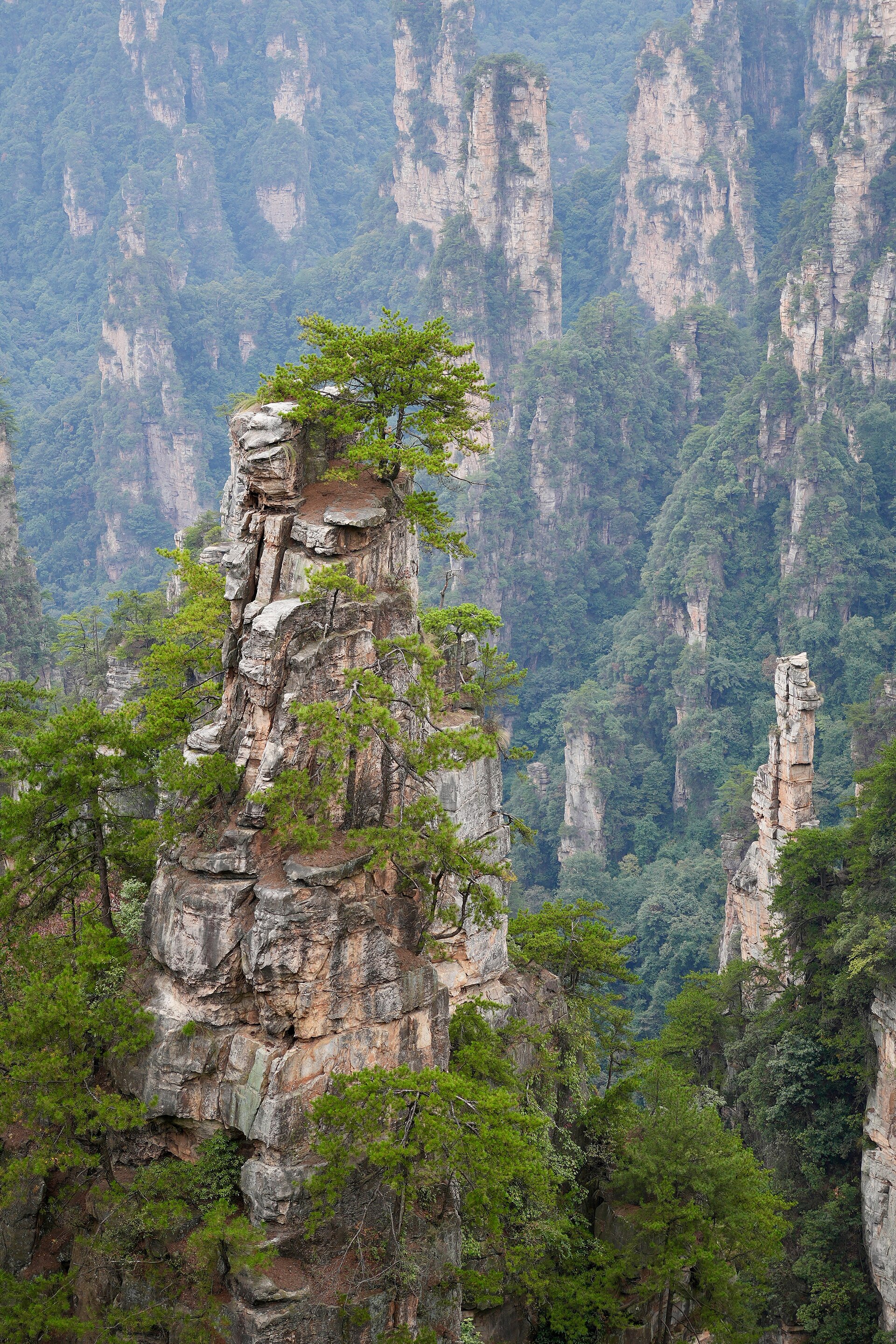 Zhangjiajie National Forest Park in Zhangjiajie