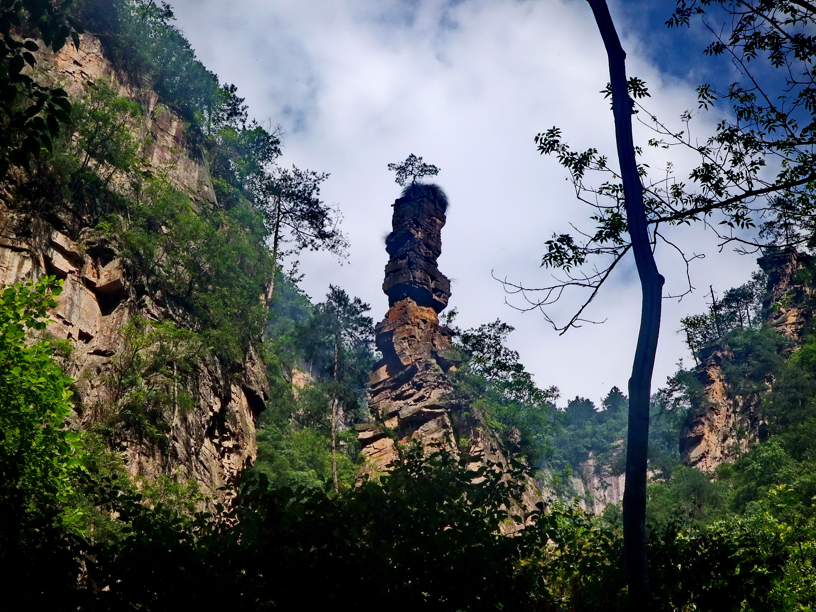 Golden Whip Stream in Zhangjiajie