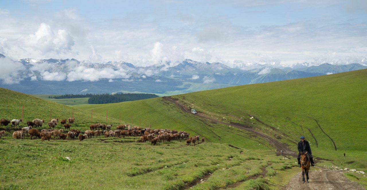 Kalajun Grassland
