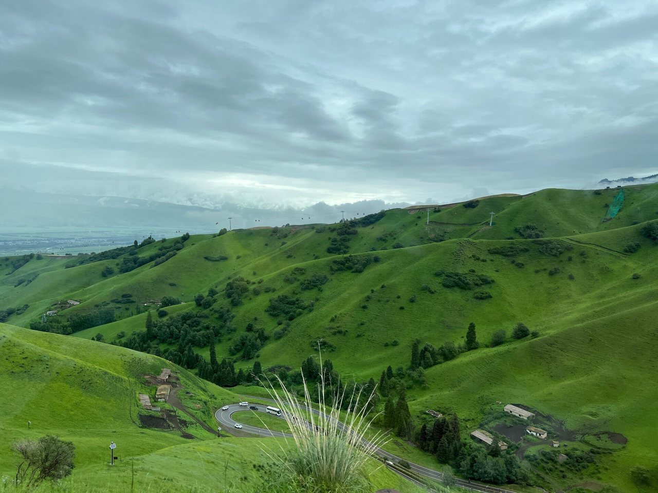 Narat Grassland