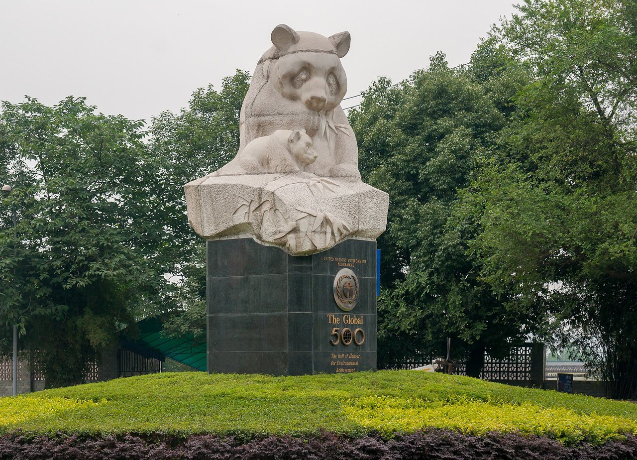 Giant Panda Base