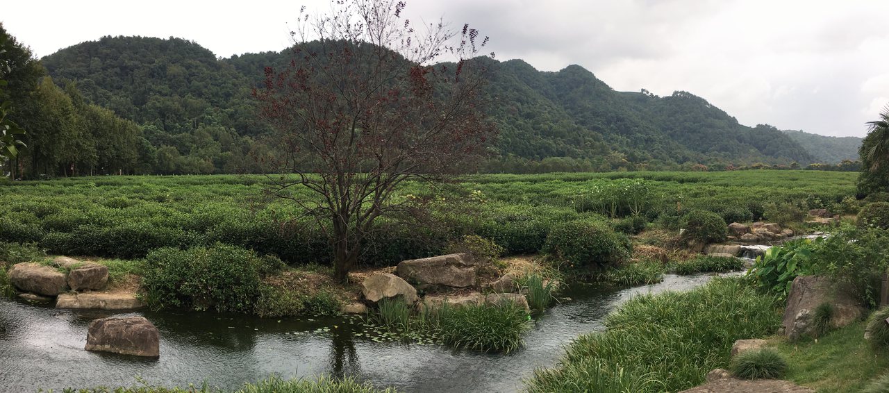 China National Tea Museum in Hangzhou