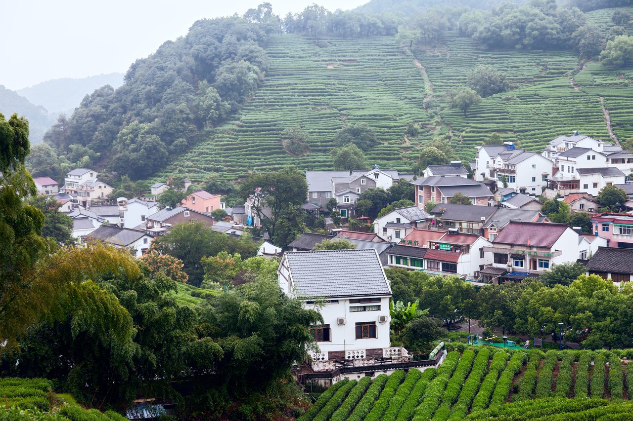 Longjing Tea Village in Hangzhou