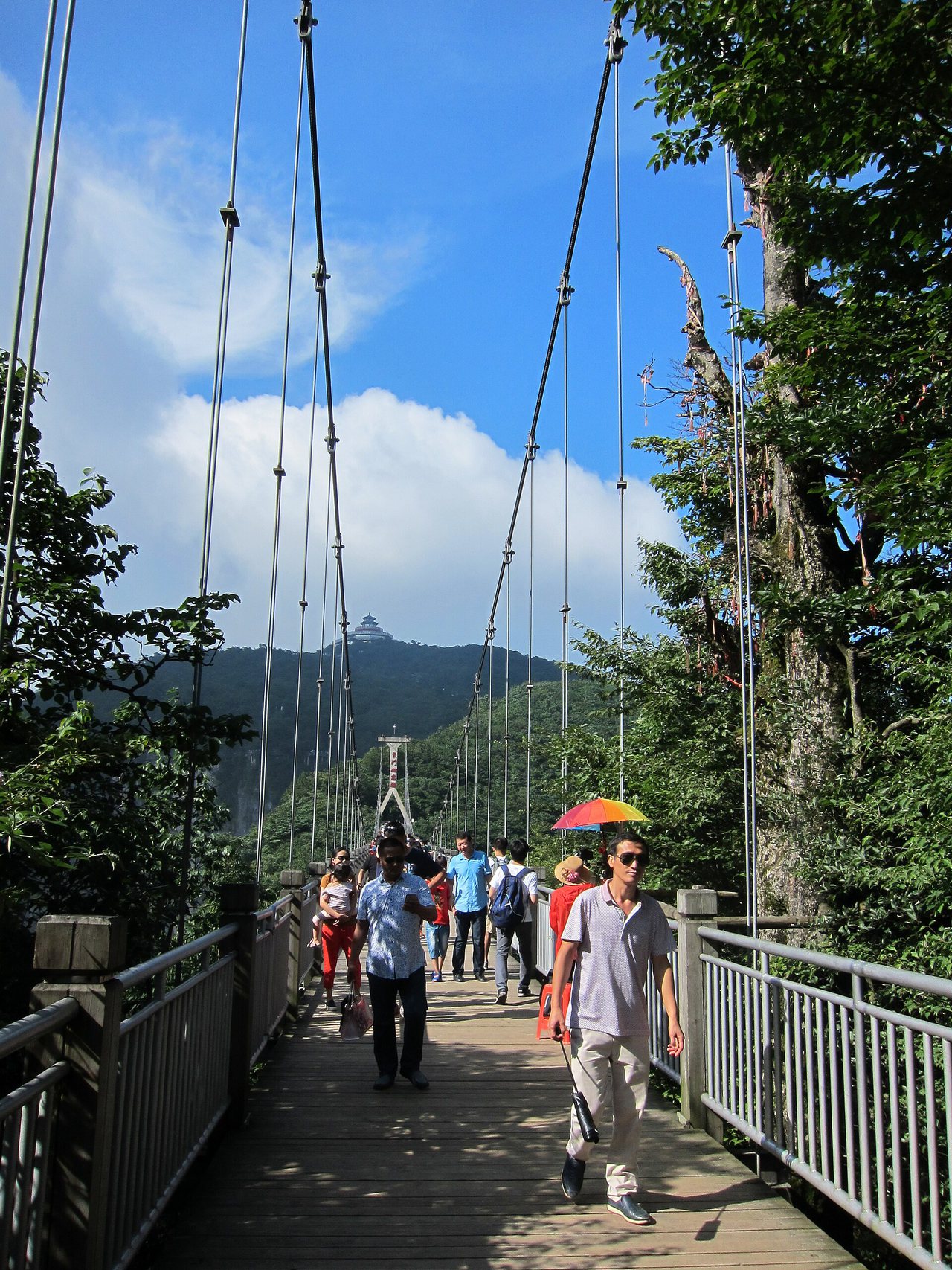 Grand Canyon Glass Bridge in Zhangjiajie